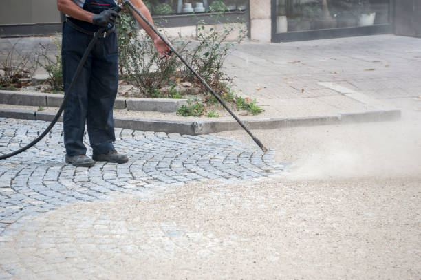 Best Pre-Holiday Cleaning  in Clark Mills, NY